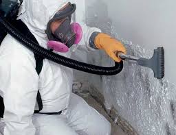 Best Mold Removal for HVAC Installations  in Wanamassa, NJ